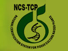 NCS-TCP